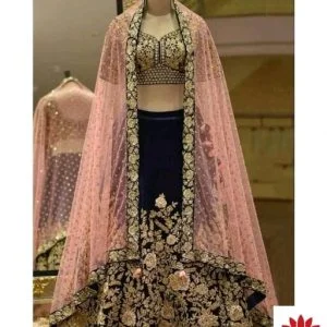 Banita Sensational Women Lehenga With Choli And Dupatta