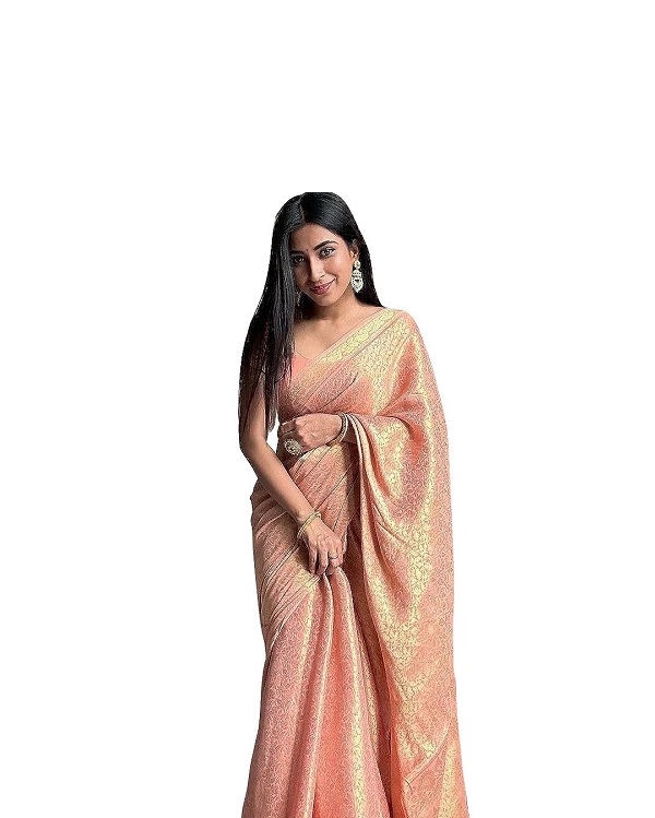 Fantabulous Peach Soft Banarasi Silk Saree With Invaluable Blouse Piec –  LajreeDesigner