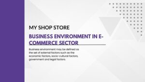 Business Environment In E- Commerce Sector