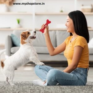 Rubber Dog Chew Goodie Bone Toy 3