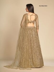 My Store Online Women Georgette Classy Look Lahanga Choli 2025 1