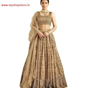 My Store Online - Women Georgette Classy Look Lahanga Choli 2025