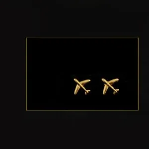 Unforgettable Designs Cute Stud Earrings for Women