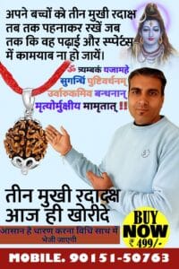 3 mukhi rudraksh