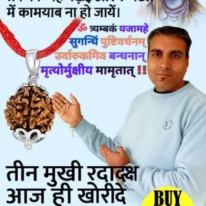 Buy 3 Mukhi Rudraksha online with lab certification. Energized, original beads for peace, confidence & spiritual growth. Free delivery in India.