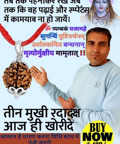 Original Teen Mukhi Rudraksha for Sale Shop Online at Best Rates