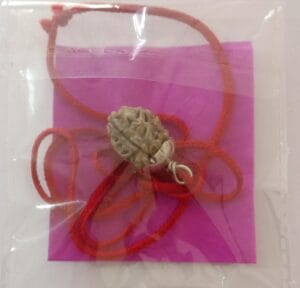 3mukhirudraksha